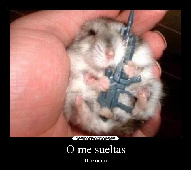 O me sueltas - O te mato