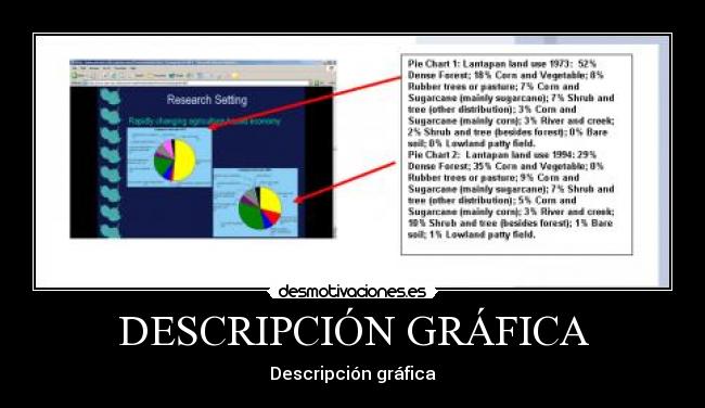 DESCRIPCIÓN GRÁFICA -