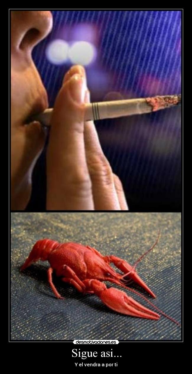 Sigue asi... - Y el vendra a por ti