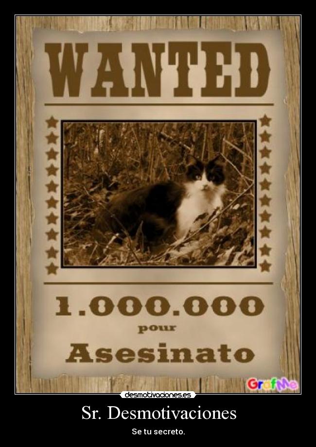 Sr. Desmotivaciones - Se tu secreto.