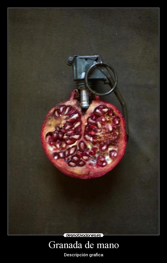 Granada de mano - Descripción grafica