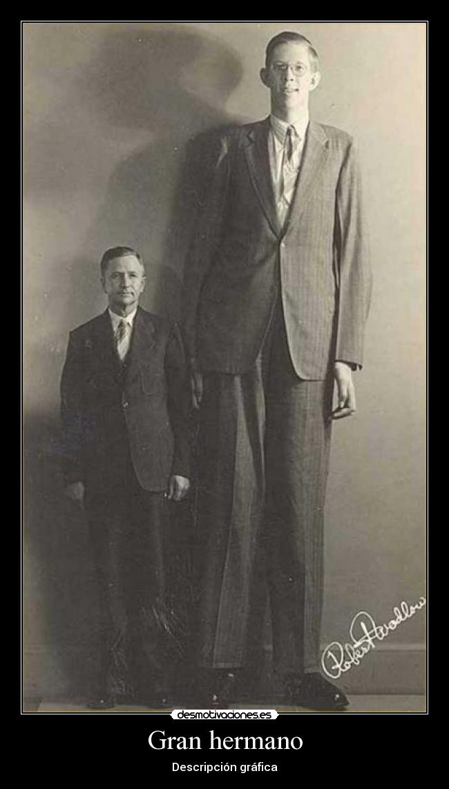 Gran hermano - Descripción gráfica