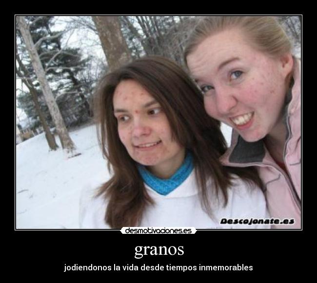 granos - jodiendonos la vida desde tiempos inmemorables