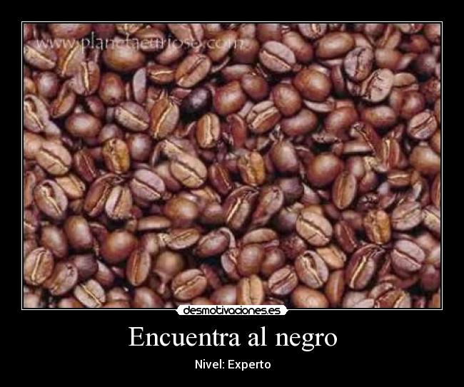 Encuentra al negro -