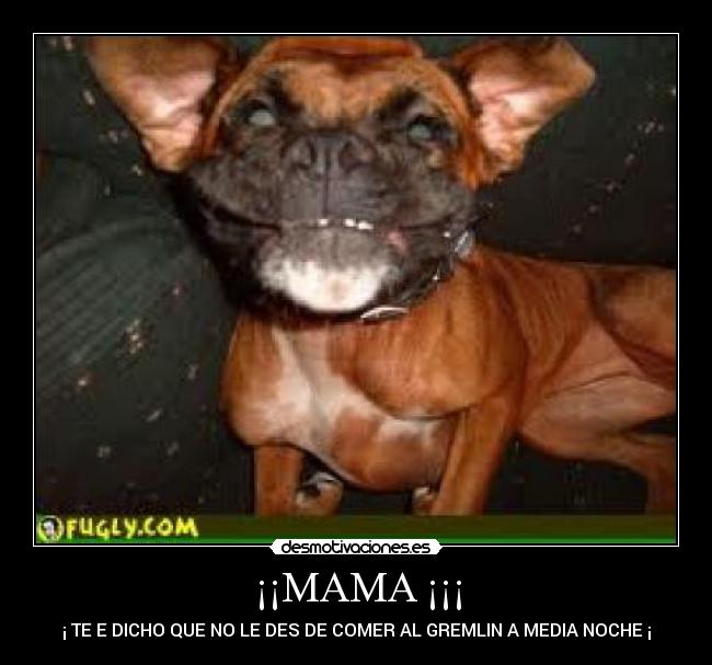 ¡¡MAMA ¡¡¡ - ¡ TE E DICHO QUE NO LE DES DE COMER AL GREMLIN A MEDIA NOCHE ¡