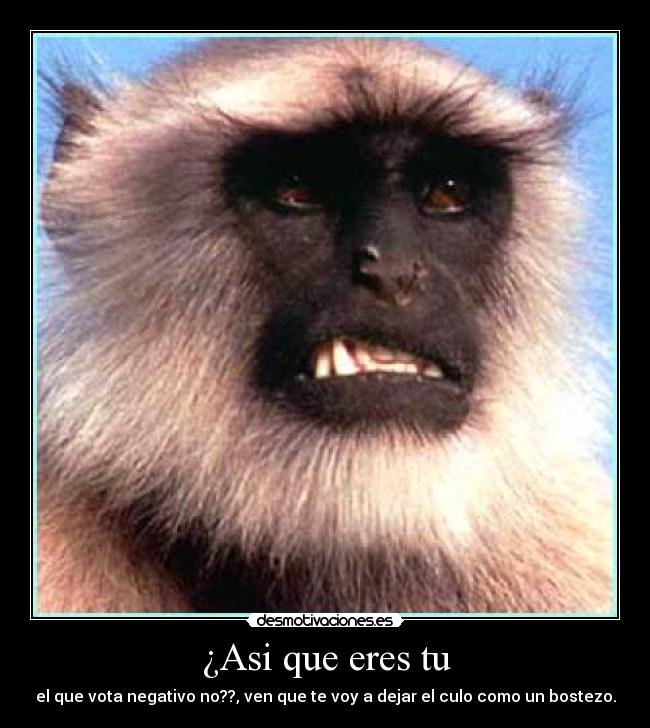¿Asi que eres tu - el que vota negativo no??, ven que te voy a dejar el culo como un bostezo.