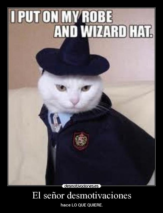 El señor desmotivaciones -