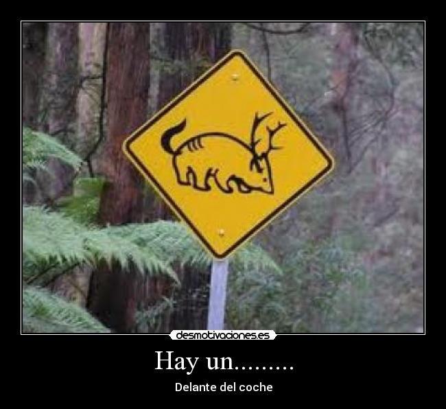 Hay un......... - 