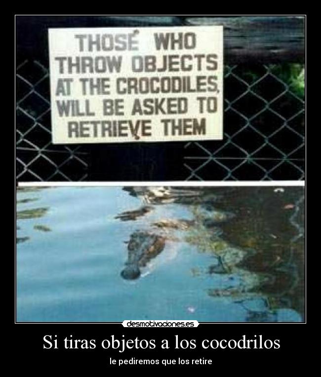 carteles cocodrilos simon01010 desmotivaciones