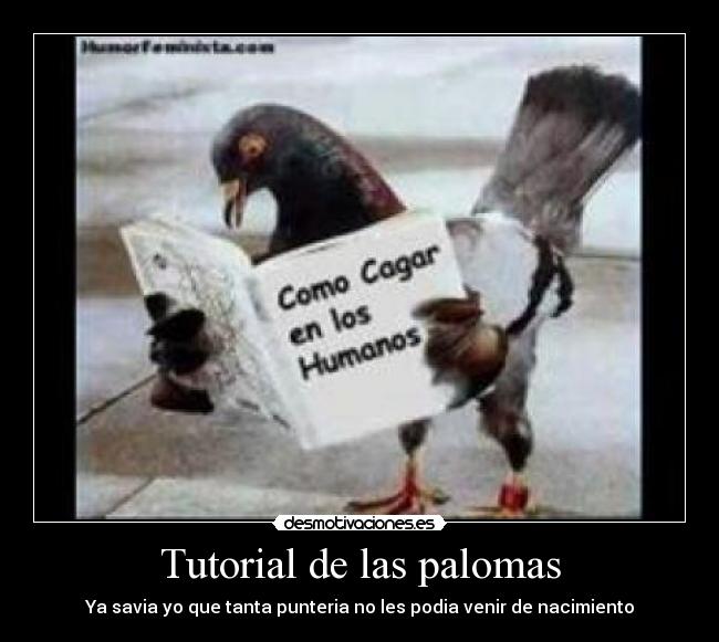 Tutorial de las palomas - Ya savia yo que tanta punteria no les podia venir de nacimiento