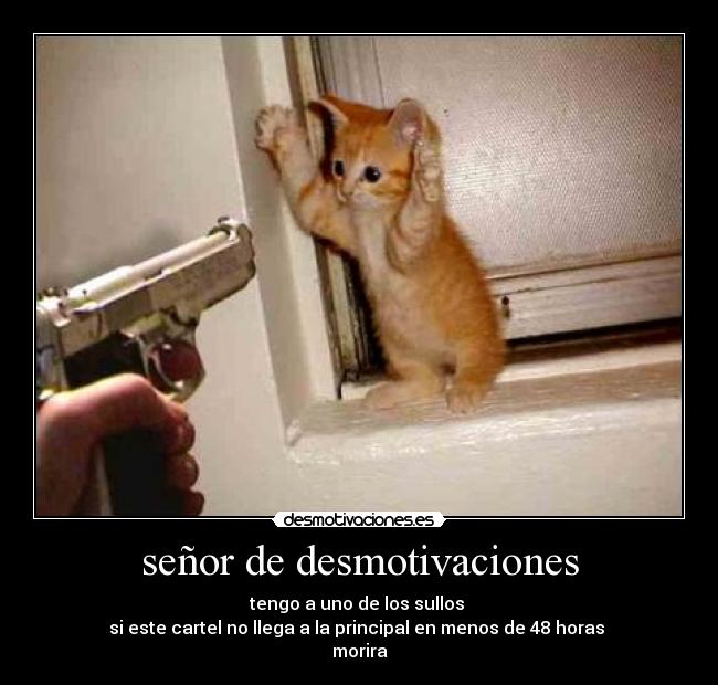 carteles desmotivaciones senor desmotivaciones