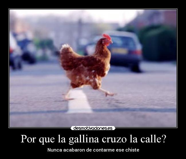 Por que la gallina cruzo la calle? Desmotivaciones