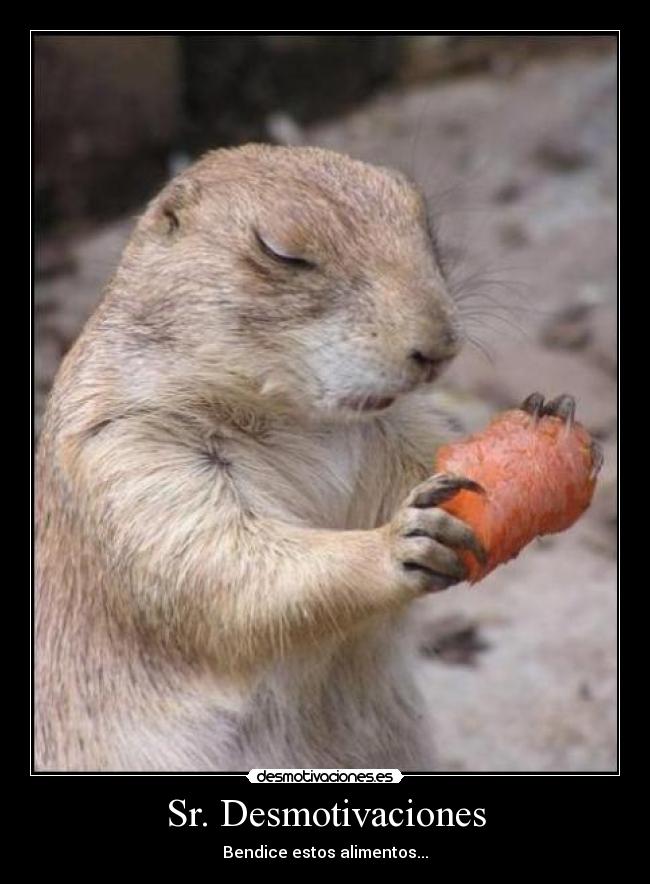 Sr. Desmotivaciones -
