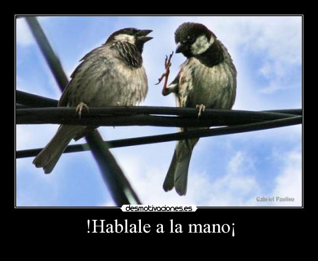!Hablale a la mano¡ - 
