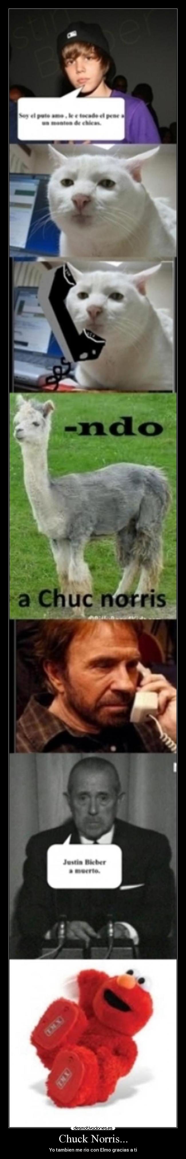 Chuck Norris... - Yo tambien me rio con Elmo gracias a ti