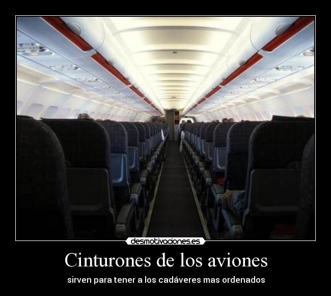 Cinturones de los aviones - sirven para tener a los cadáveres mas ordenados