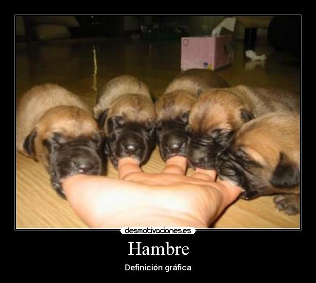 Hambre - 