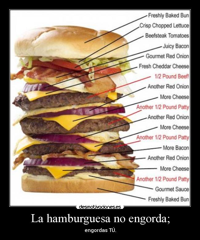 La hamburguesa no engorda; -