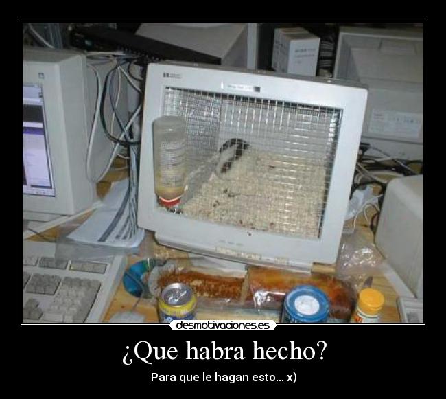 ¿Que habra hecho? - Para que le hagan esto... x)