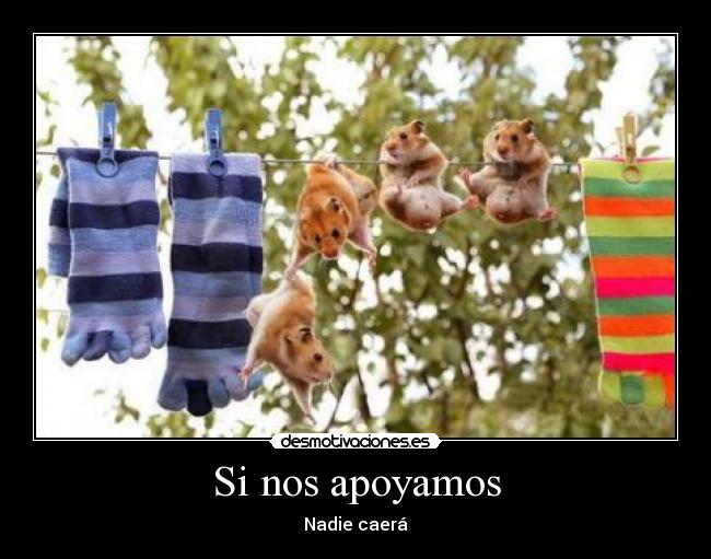 Si nos apoyamos - Nadie caerá
