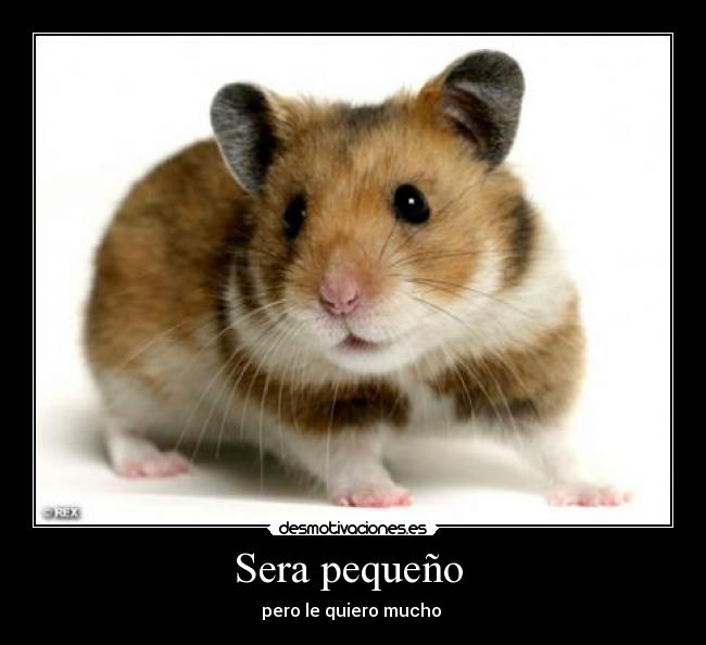 Sera pequeño  - 