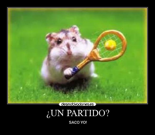 ¿UN PARTIDO? - SACO YO!