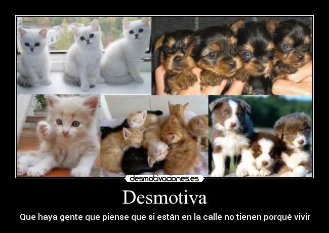 Desmotiva - Que haya gente que piense que si están en la calle no tienen porqué vivir