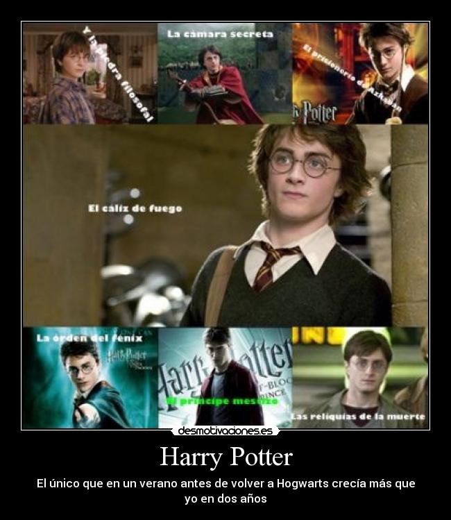 Harry Potter - El único que en un verano antes de volver a Hogwarts crecía más que yo en dos años