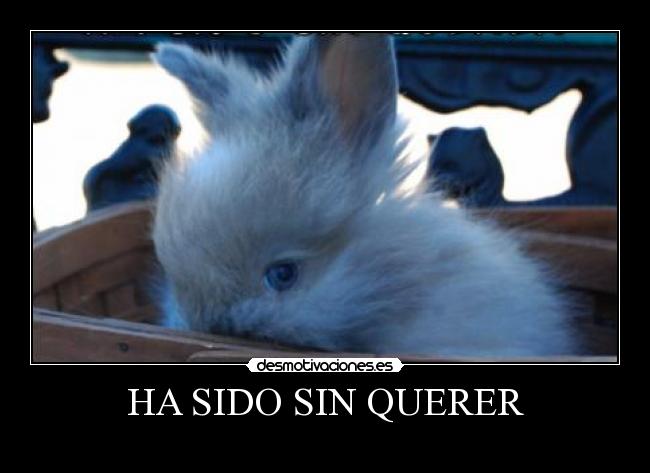 HA SIDO SIN QUERER - 