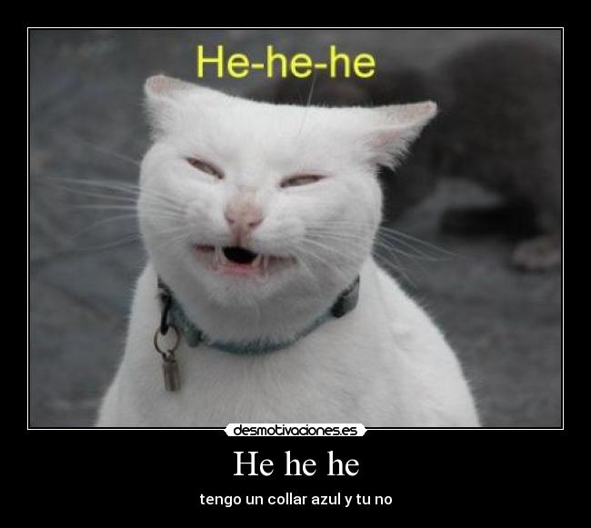 carteles shannay desmotivaciones