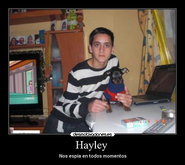 carteles hayley nos espia todos momentos desmotivaciones