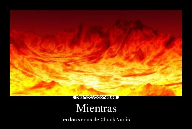 Mientras - en las venas de Chuck Norris