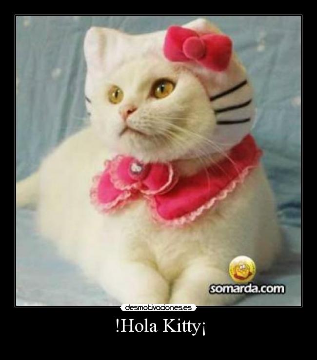 !Hola Kitty¡ -