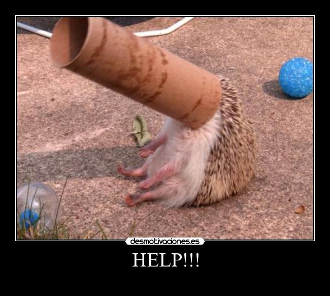 HELP!!! -