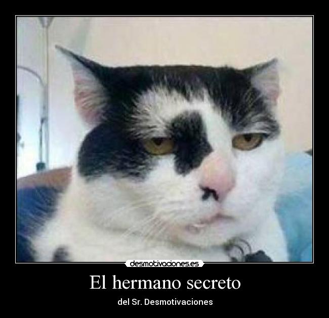 El hermano secreto - del Sr. Desmotivaciones