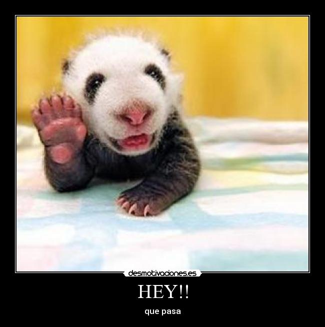 HEY!! -