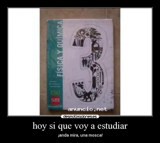 hoy si que voy a estudiar - ¡anda mira, una mosca!