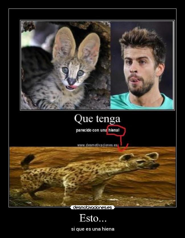 Esto... - si que es una hiena