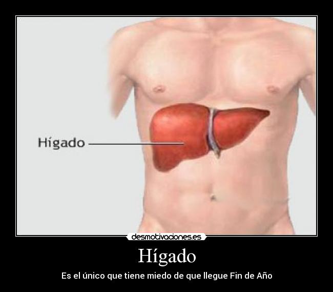 Hígado - Es el único que tiene miedo de que llegue Fin de Año