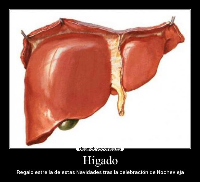 Hígado - 