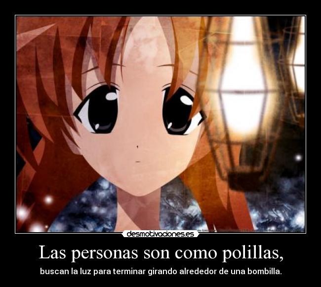 carteles persona polilla bombilla luz desmotivaciones