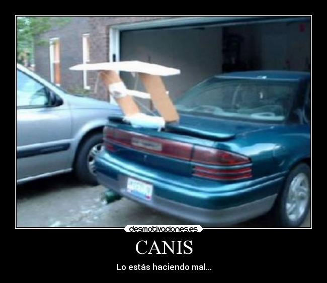 CANIS -