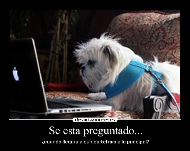 carteles esta preguntado cuando llegara algun cartel mio principal amperio desmotivaciones