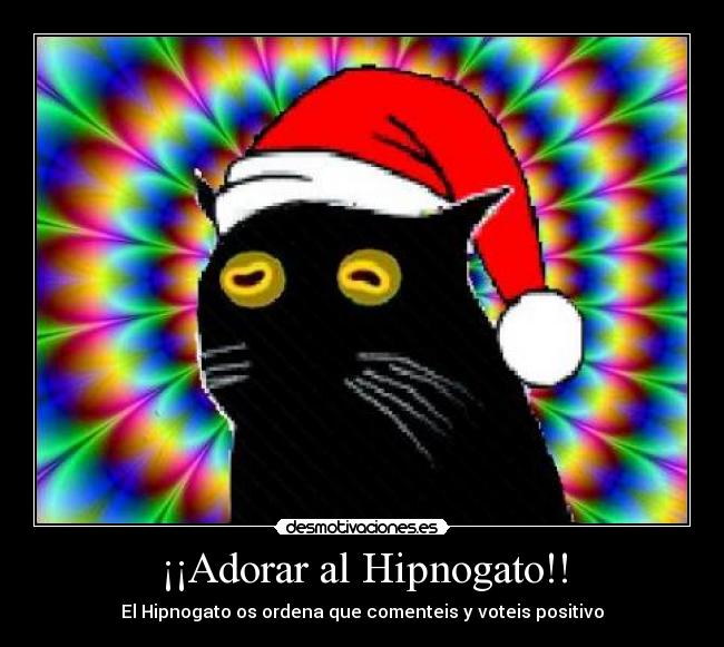 ¡¡Adorar al Hipnogato!! - El Hipnogato os ordena que comenteis y voteis positivo