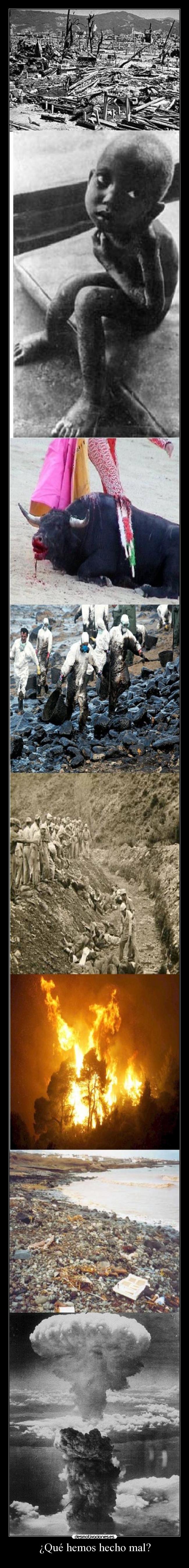 ¿Qué hemos hecho mal? - 