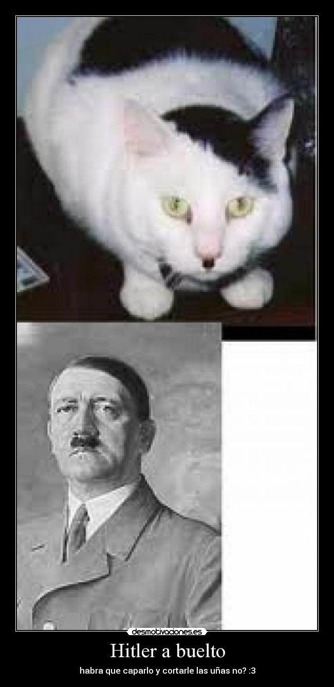 Hitler a buelto -