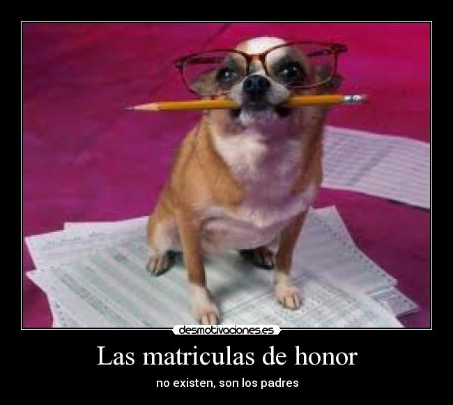 Las matriculas de honor - no existen, son los padres