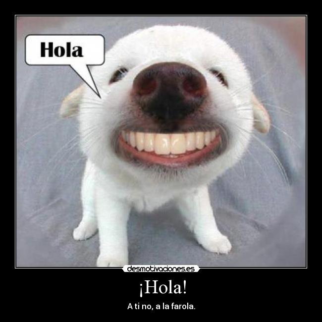 ¡Hola! - 