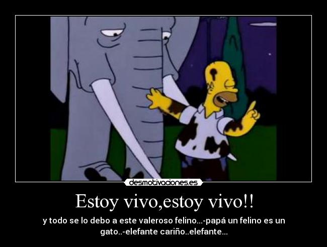 carteles ernene desmotivaciones