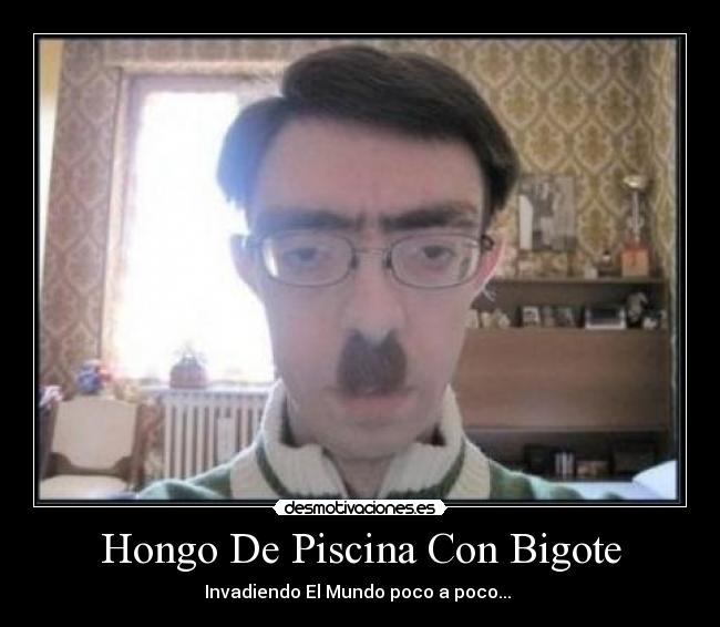 Hongo De Piscina Con Bigote - Invadiendo El Mundo poco a poco... 
